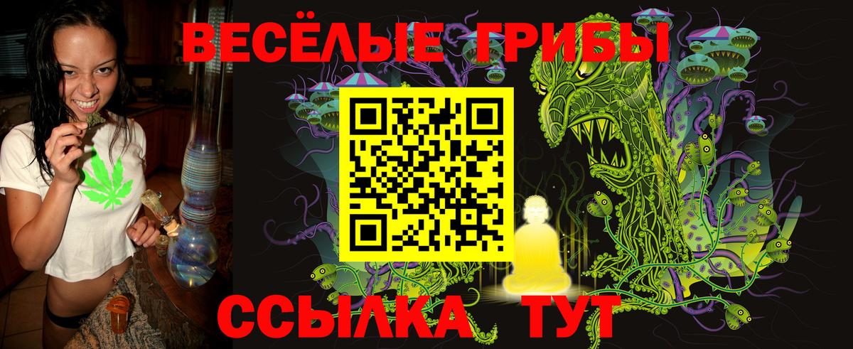 Псилоцибиновые грибы Cubensis Сочи