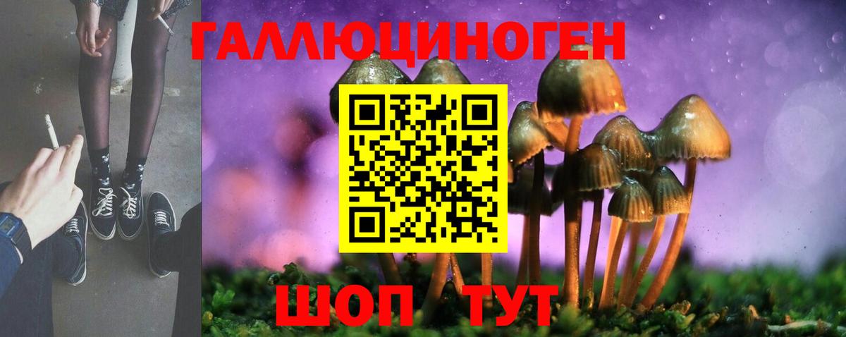 Псилоцибиновые грибы Magic Shrooms  Вход с VPN  дарнет шоп  Сочи 